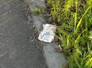 rifiuti dal finestrino