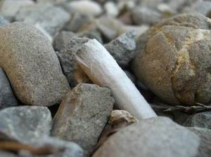rifiuti dal finestrino