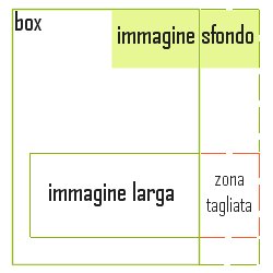 bug css