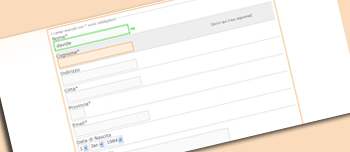 Form con CSS